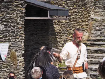 Roofvogelshow in Château de La Roche-en-Ardenne (België)